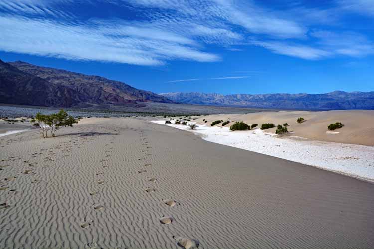 sand dunes